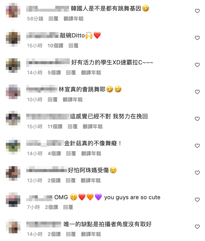 有網友還笑說「好怕阿珠媽受傷！」 圖：翻攝自林萱IG