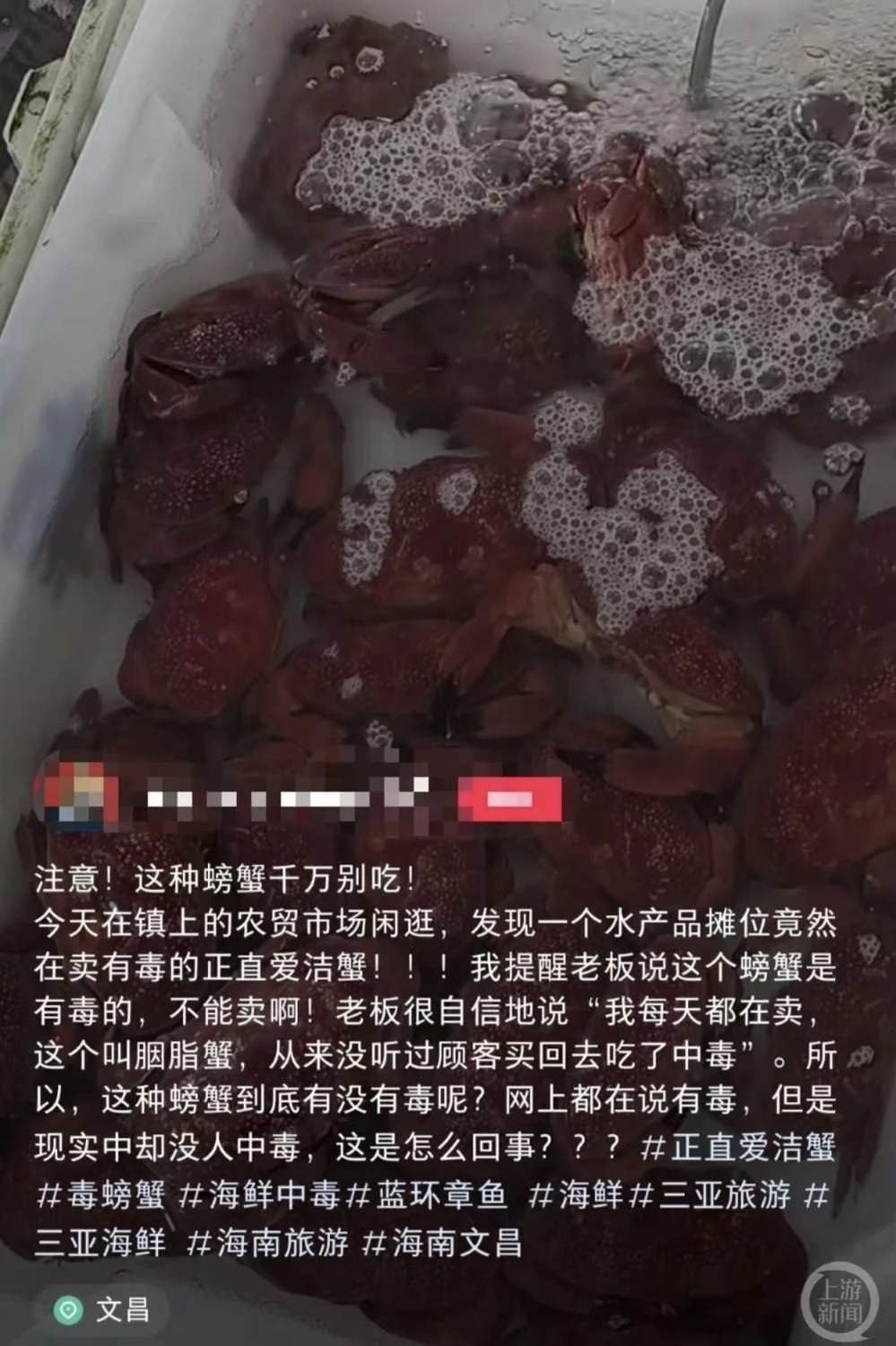 一名中國網友發現市場老闆正販售「正直愛潔蟹」後，立馬提醒老闆，卻被以無傷大雅的態度帶過，讓他對於網傳此螃蟹具有毒性一事感到相當疑惑。 圖：翻攝自騰訊網
