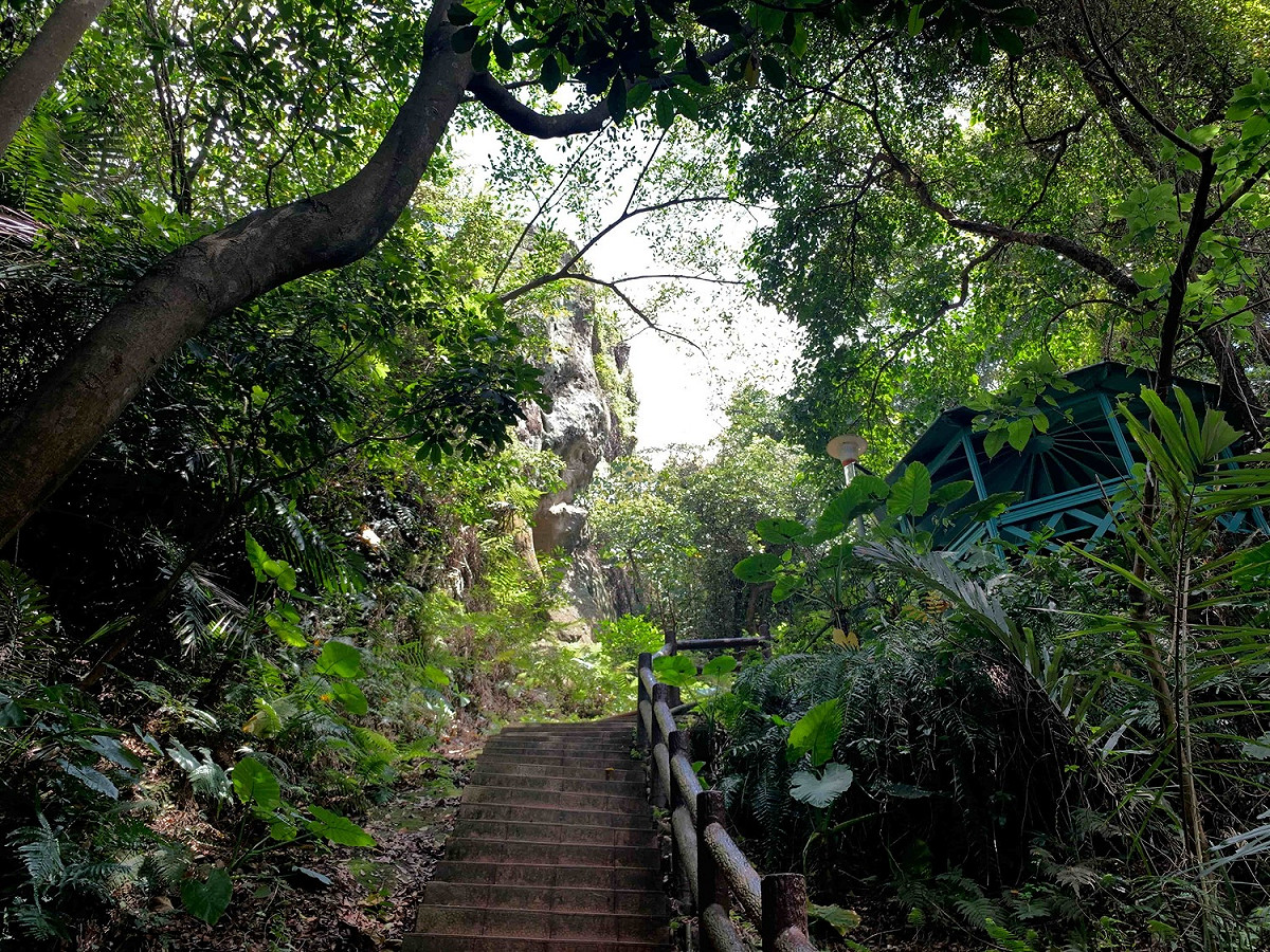 春節連假推薦民眾可至鶯歌石步道消耗熱量，享受新北山林之美。 圖：新北市觀旅局提供