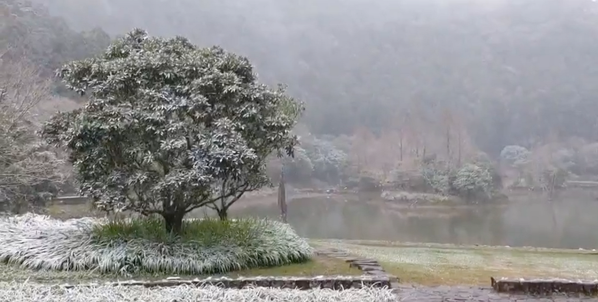 位於高海拔的宜蘭明池國家森林遊樂區下雪，整片森林區化身雪白仙境。 圖：翻攝自明池國家森林遊樂區臉書