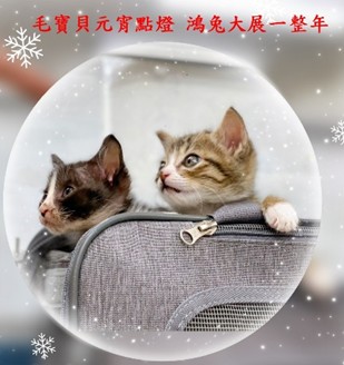 臉書抽獎活動上傳毛寶貝照片及標註2位朋友抽接雲寺光明燈。 圖：新北市動保處提供