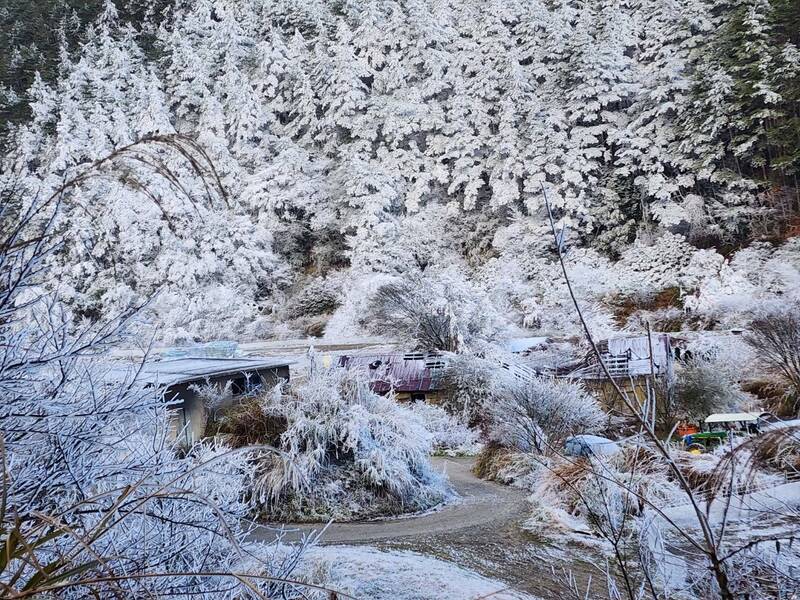 今日寒流南下，氣象署預估22日晚間起高山有降雪機率。(下雪示意圖) 圖：武陵農場／提供 (資料照)