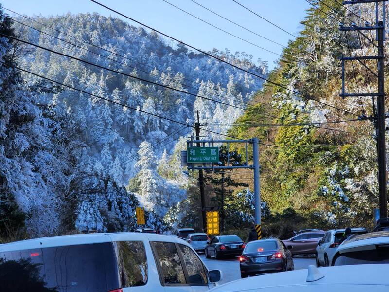 思源埡口昨晚下雪，今早今日清晨殘雪還在，加上早晨的霧淞冰霰，現場呈現夢幻的銀白美景。 圖：武陵農場／提供