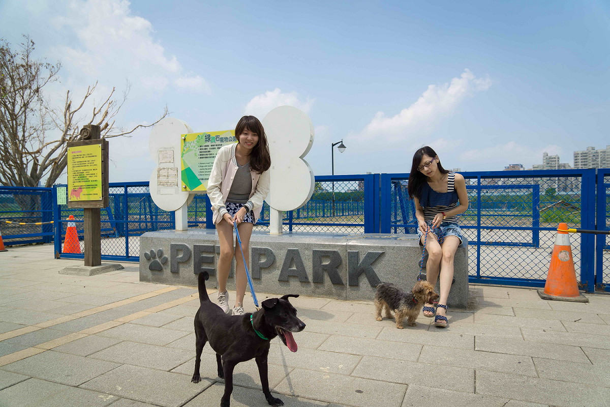永和綠寶石公園十分受飼主的歡迎，紛紛帶寵物來這裡放風。 圖：新北市動保處提供