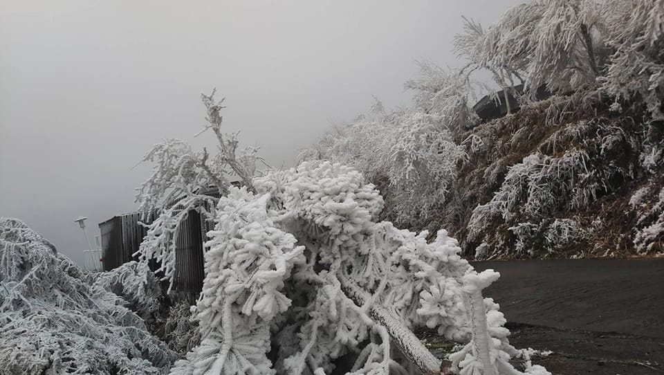 天氣風險公司分析師李至晟表示，北部到宜花一帶，因為水氣充足，今晚起2000公尺以上的山區就開始有機會看到結冰。 圖：取自太平山國家森林遊樂區臉書