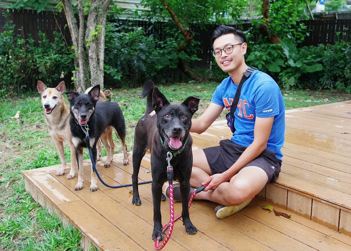 阿勇(左三)在志工Raymond的陪伴下，開始敞開心胸。 圖：新北市動保處提供