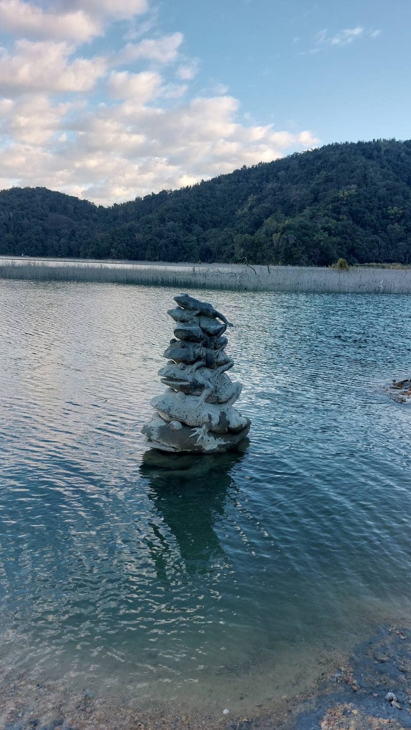 潭區的「九蛙疊像」今天出現難得的7蛙浮出水面。 圖：日月潭風景區管理處／提供（資料照）