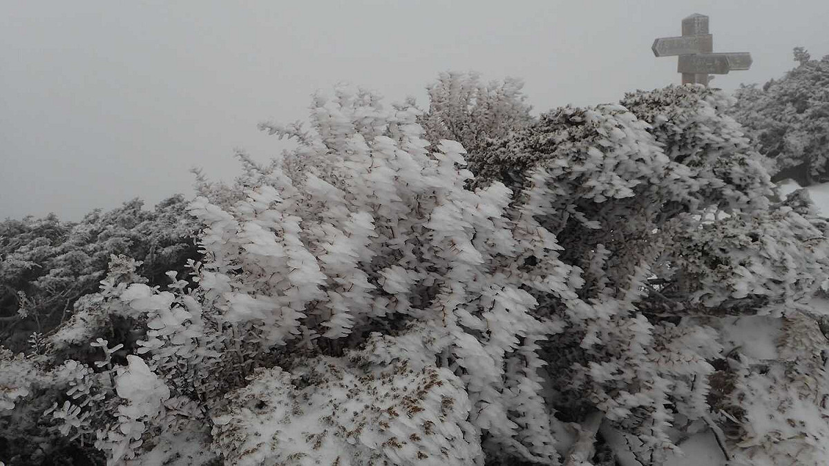 今(5)日清晨華南鋒前雲系東移、伴隨降水回波，雪山終於降雪。 圖：翻攝自臉書雪霸國家公園登山資訊分享站