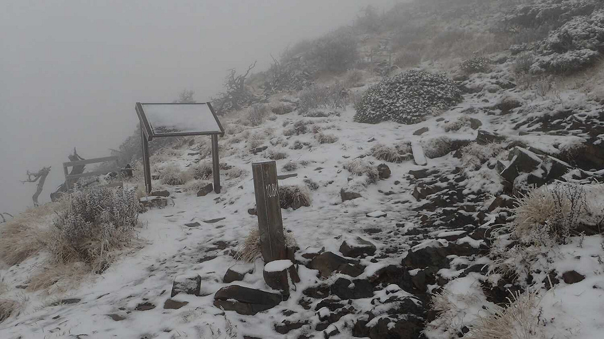 清晨就有山友在雪霸國家公園登山資訊分享站貼出雪景照片，指出「雪山步道9.7公里以上開始有積雪，約2公分左右」。 圖：翻攝自臉書雪霸國家公園登山資訊分享站