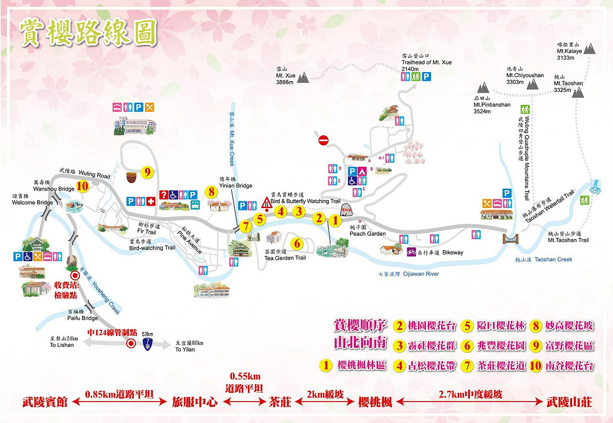 武陵賞櫻路線圖。 圖：取自武陵農場臉書