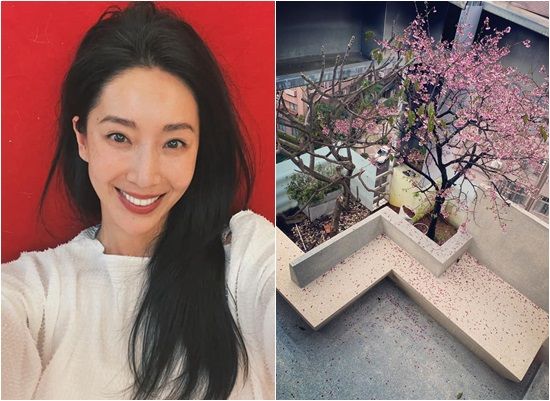 藝人隋棠和老公Tony1家5口去年搬到大直豪宅後遭控訴噪音擾鄰。 圖：翻攝隋棠臉書