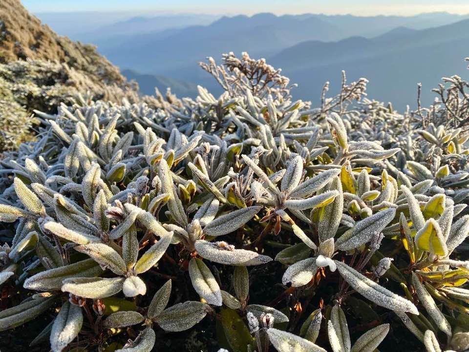 據氣象局統計，玉山站1月平均氣溫為3度，創歷年同期最高紀錄。 圖：翻攝自鄭明典臉書