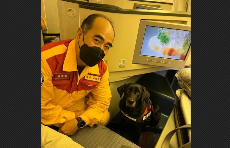 土耳其強震，台灣已經派出130位搜救及醫護人前往支援，搜救犬也一起坐商務艙，養精蓄銳準備全力投入救援。 圖／翻攝自內政部臉書