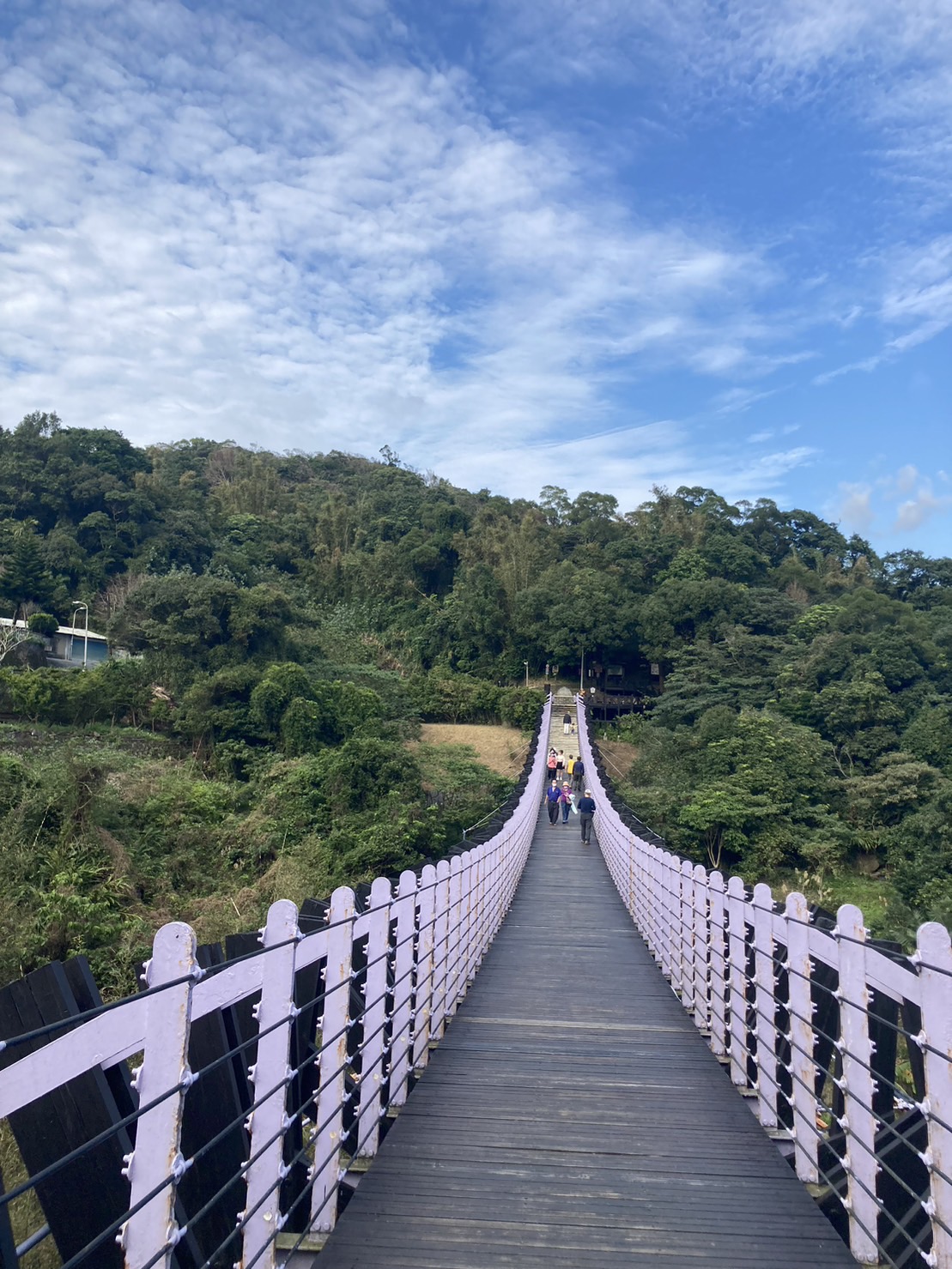草莓園附近還有大湖公園、碧湖公園、白石湖吊橋、碧山巖開漳聖王廟、春秋步道、內溝溪生態步道等可以順遊拍美照。（圖為白石湖吊橋） 圖：林岑韋／攝
