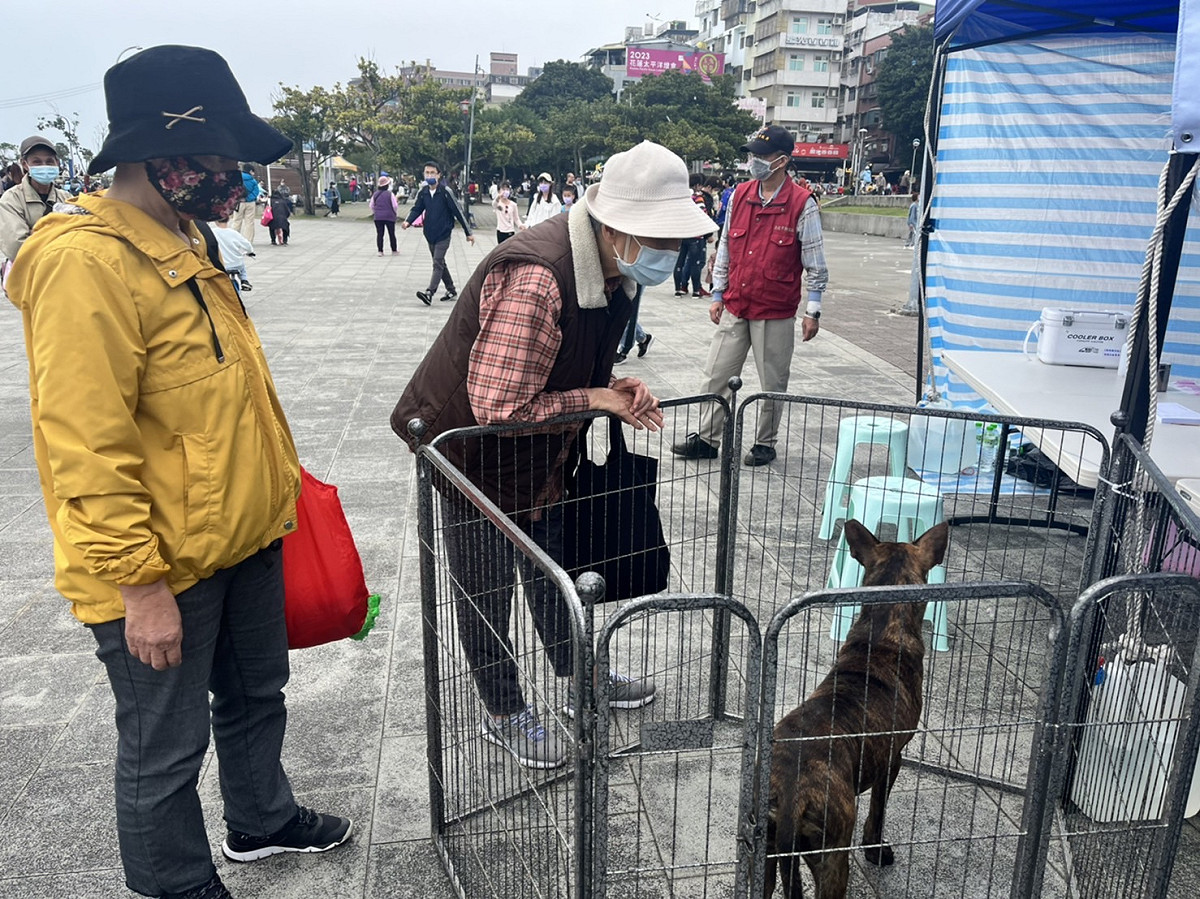 今年動保處特別選在風景優美的淡水河邊舉辦寵物情人活動，吸引更多民眾前來參與。 圖：新北市動保處提供
