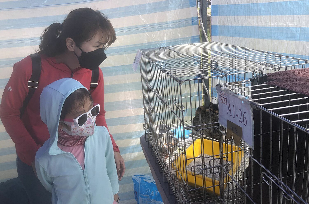 現場有許多親人犬貓等待認養。 圖：新北市動保處提供