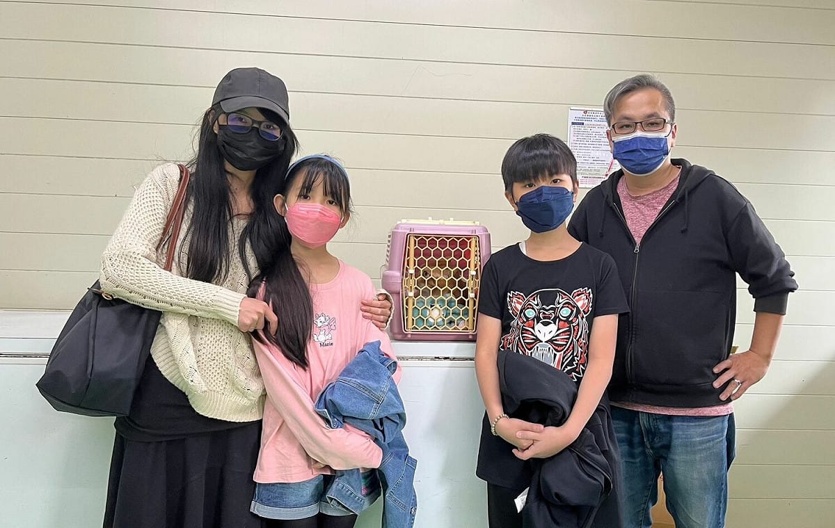 白先生一家以前曾認養照顧過一隻右後腳截肢的貓，網路上看到「哈吉」(中)資訊後決定認養且全心全意照顧牠。 圖：新北市動保處提供