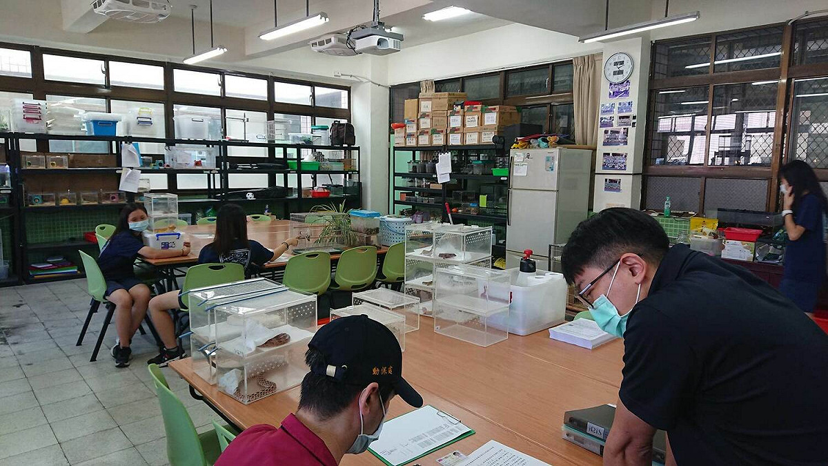 新北市動保處人員於社團活動期間查訪動物飼養空間。 圖：新北市動保處提供