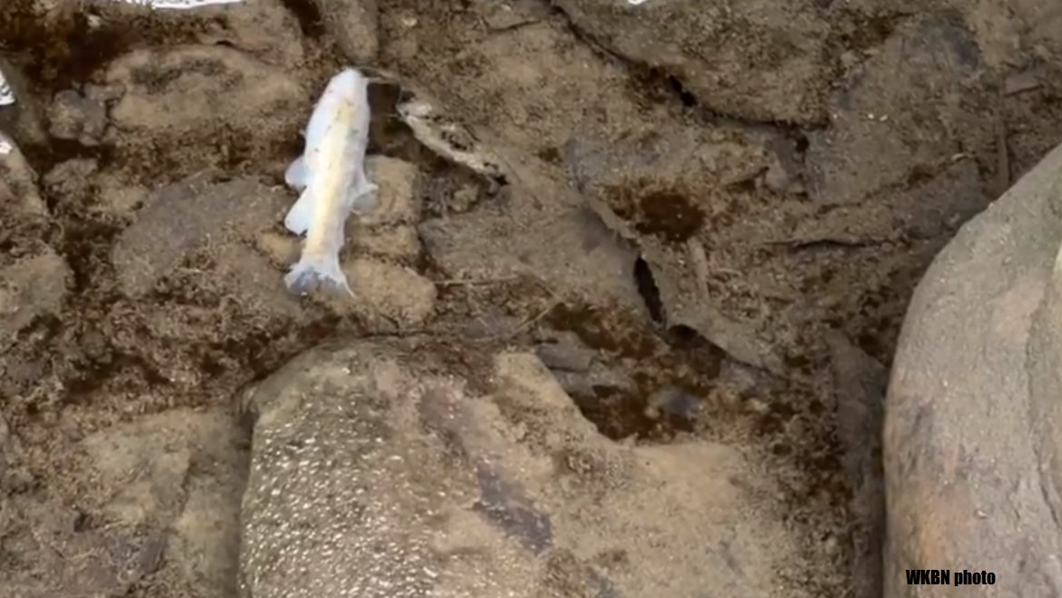 當地官員稱水中沒有檢測到氯乙烯或任何預聚物，並表示污染主要由當時火災燃燒物質組成。「我們非常有信心不會影響居民飲用水供應。」 圖：擷取自推特@EricJBrewerCle