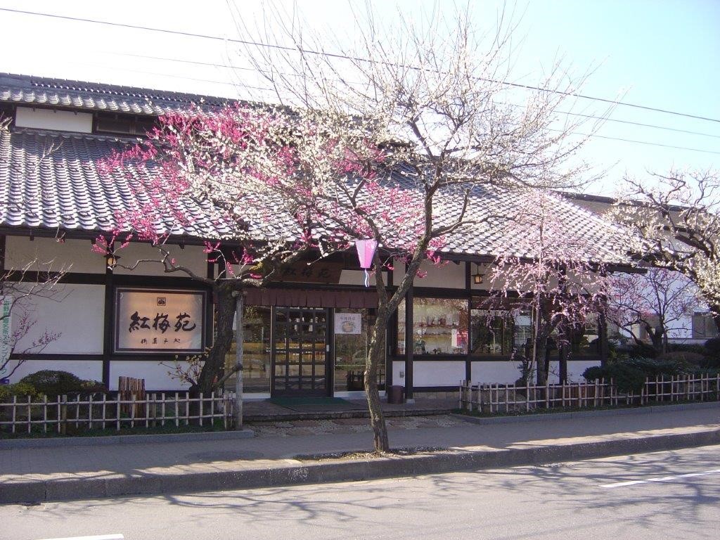 坐落於青梅市吉野梅鄉的紅梅苑，使用自家梅園的梅子來製作多種口味清爽的梅子和菓子。 圖：Ⓒ紅梅苑／提供