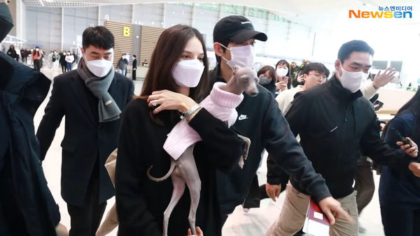 昨（16）日宋仲基「一家四口」高調現身仁川機場。 圖：翻攝自Newsen