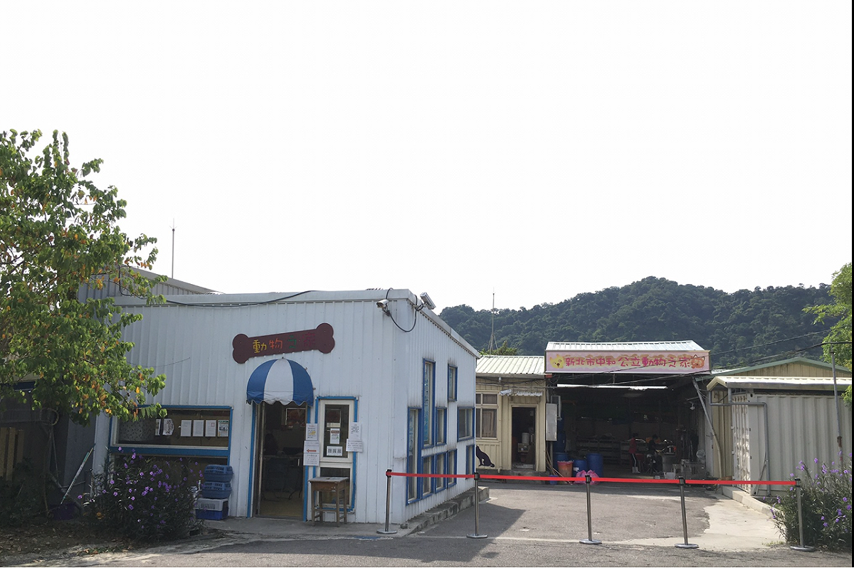飼主若無法繼續飼養毛寶貝，可至動物之家辦理不擬續養程序。 圖：新北市動保處提供
