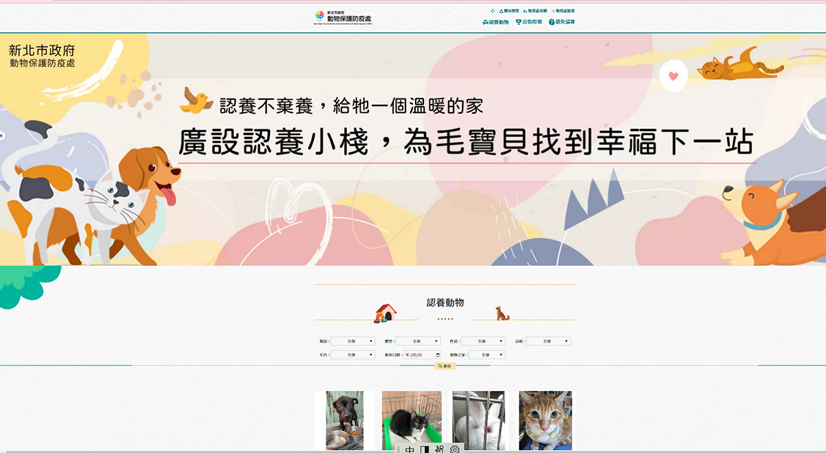 民眾可至新北市動保處網站-認養專區，尋找欲飼養的毛寶貝。 圖：新北市動保處提供