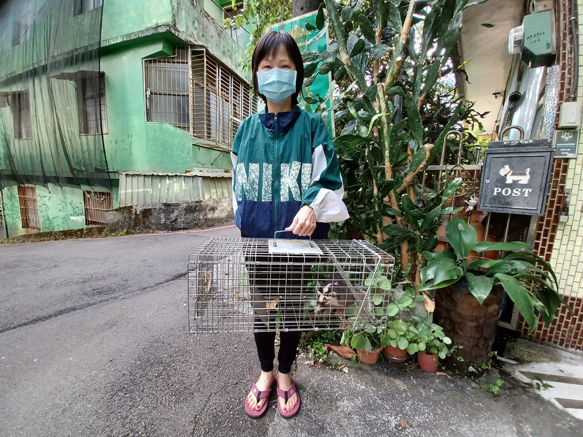 圖：新北市動保處提供