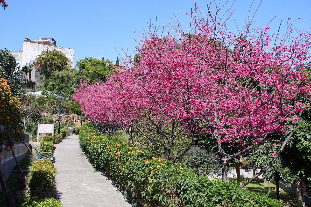 寶藏花園鶯歌永吉公園。 圖：新北市景觀處提供