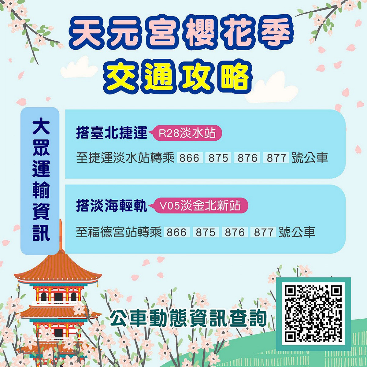 天元宮櫻花交通攻略。 圖：新北市交通局提供