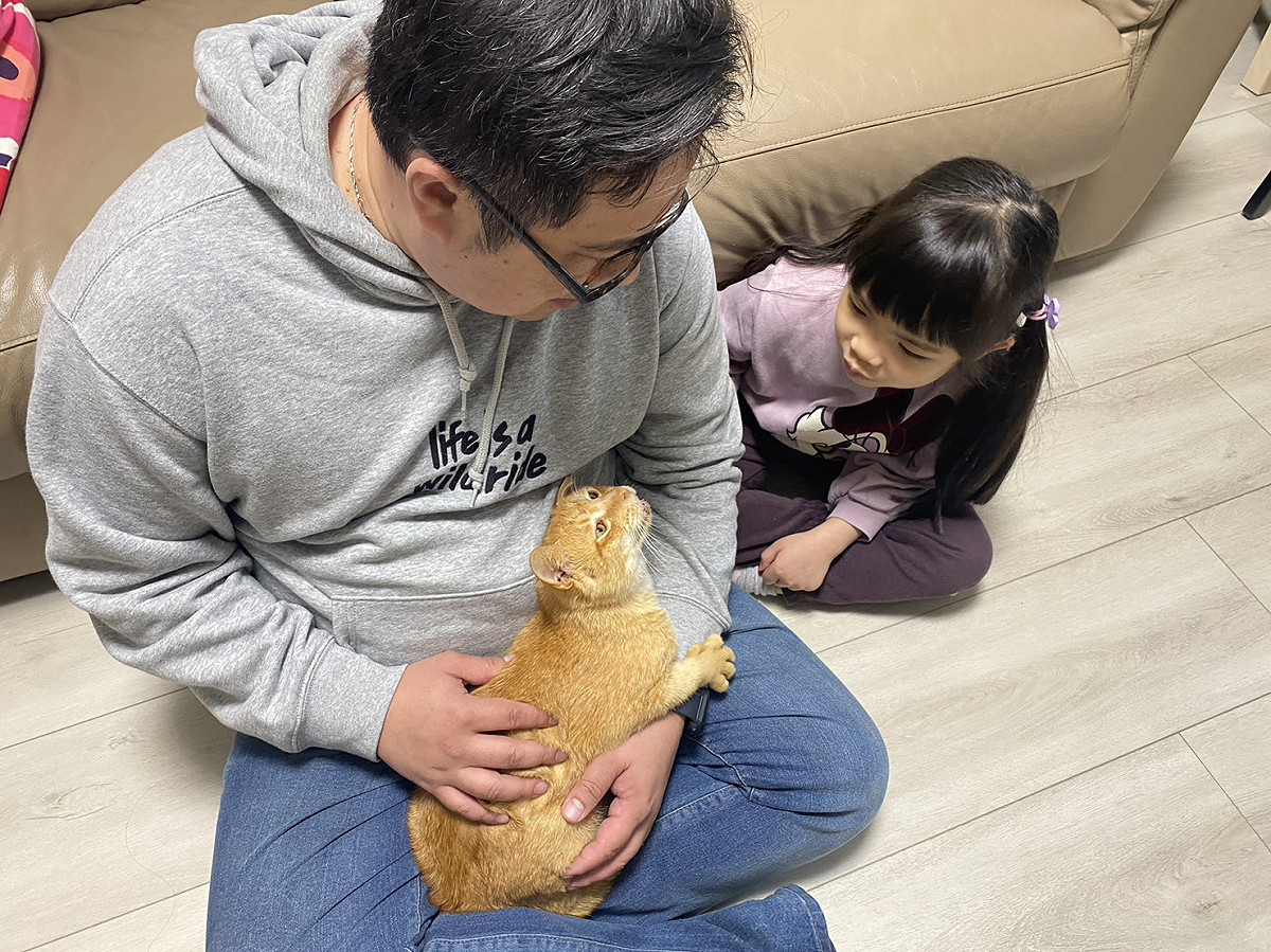 「橘子」現在已有了溫暖舒適的家。 圖：新北市動保處提供
