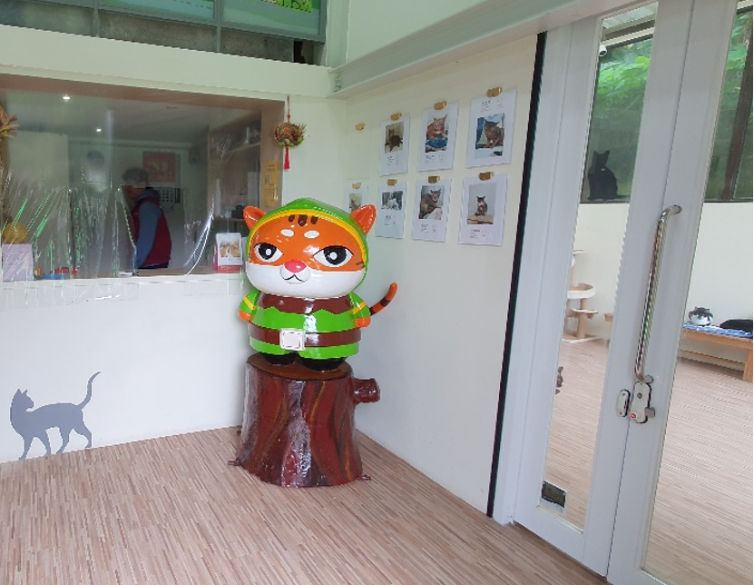 民眾可至貓村認養小棧認養動物。 圖：新北市動保處提供