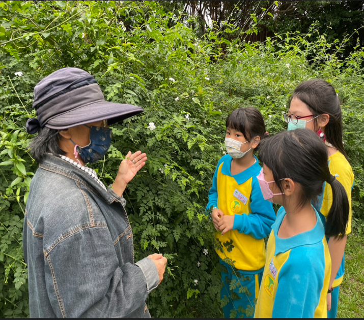 正義國小老師林碧珠閩南語講解秀英花。 圖：新北市教育局提供