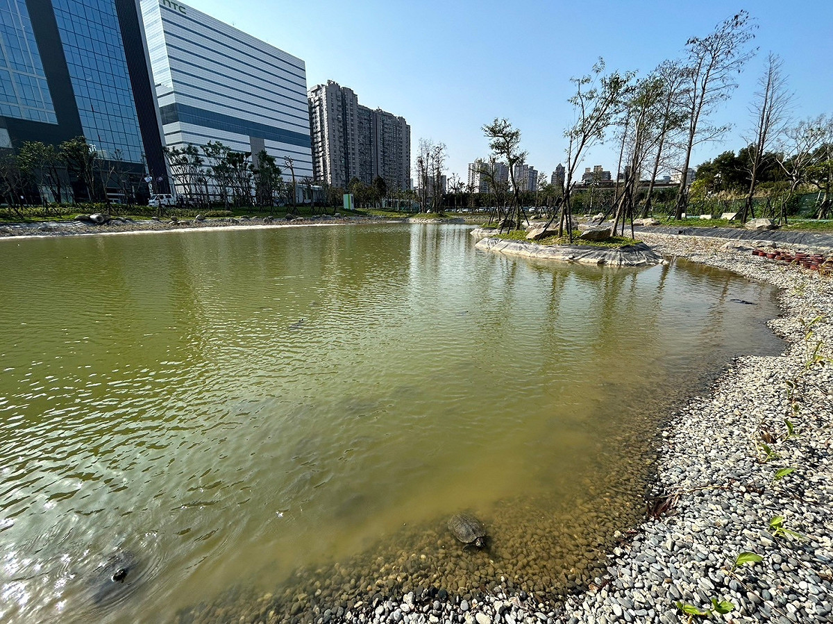 生態池。 圖：新北市交通局提供