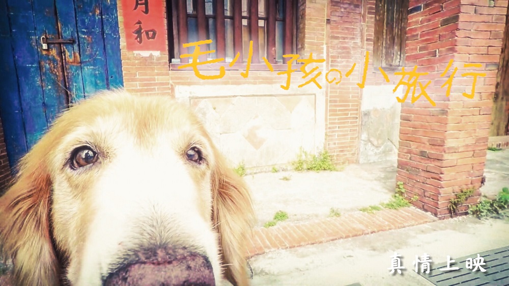 我們跟著毛小孩拜訪了五溝水劉氏宗祠、觀海山房，看到客家建築之美，品嚐客家粄條美食去吧！ 圖：屏東縣政府觀光傳播處提供
