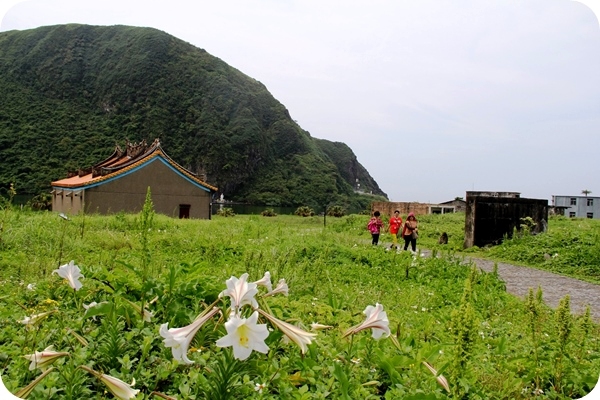 來去龜山島賞鯨，登島時還能欣賞百合花盛放美景。 圖：東北角暨宜蘭海岸國家風景區管理處提供