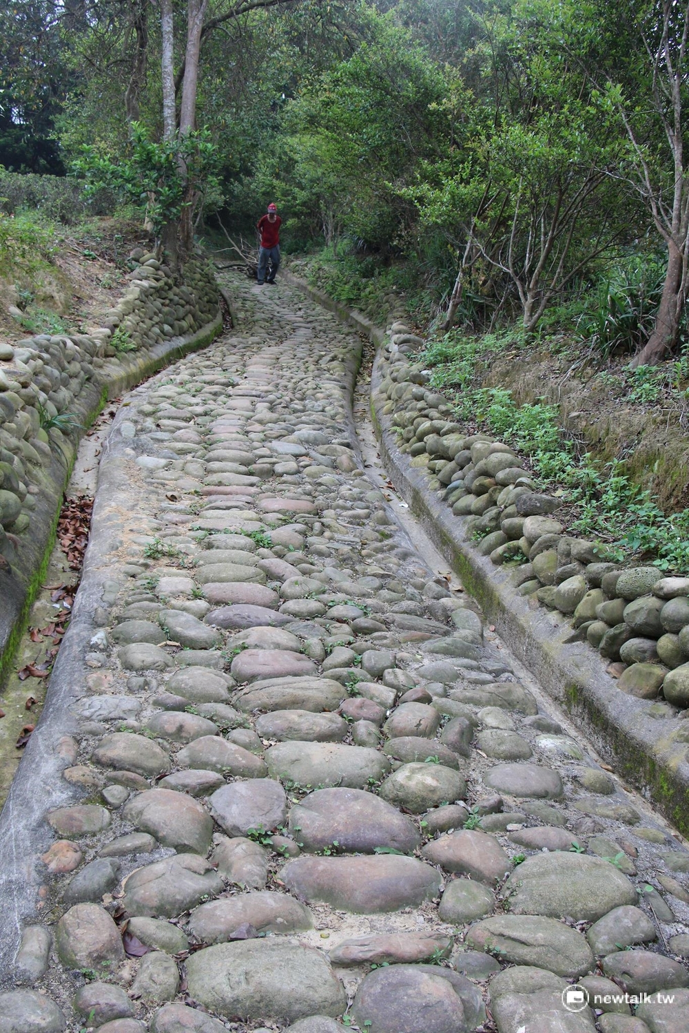 保甲古道2014年經在地居民重新修葺，重拾百年榮景。 圖：呂晏慈攝