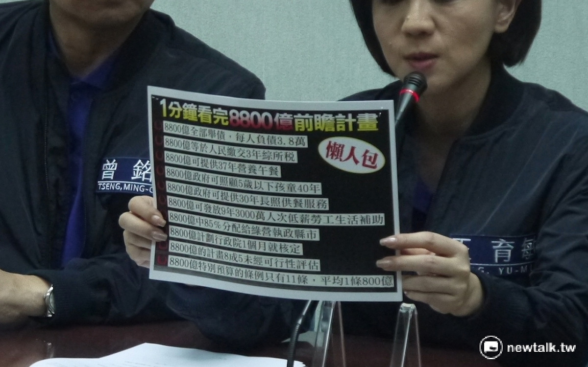 立委王育敏舉例8,800億可以做許多用途。 圖：鍾孟軒/攝