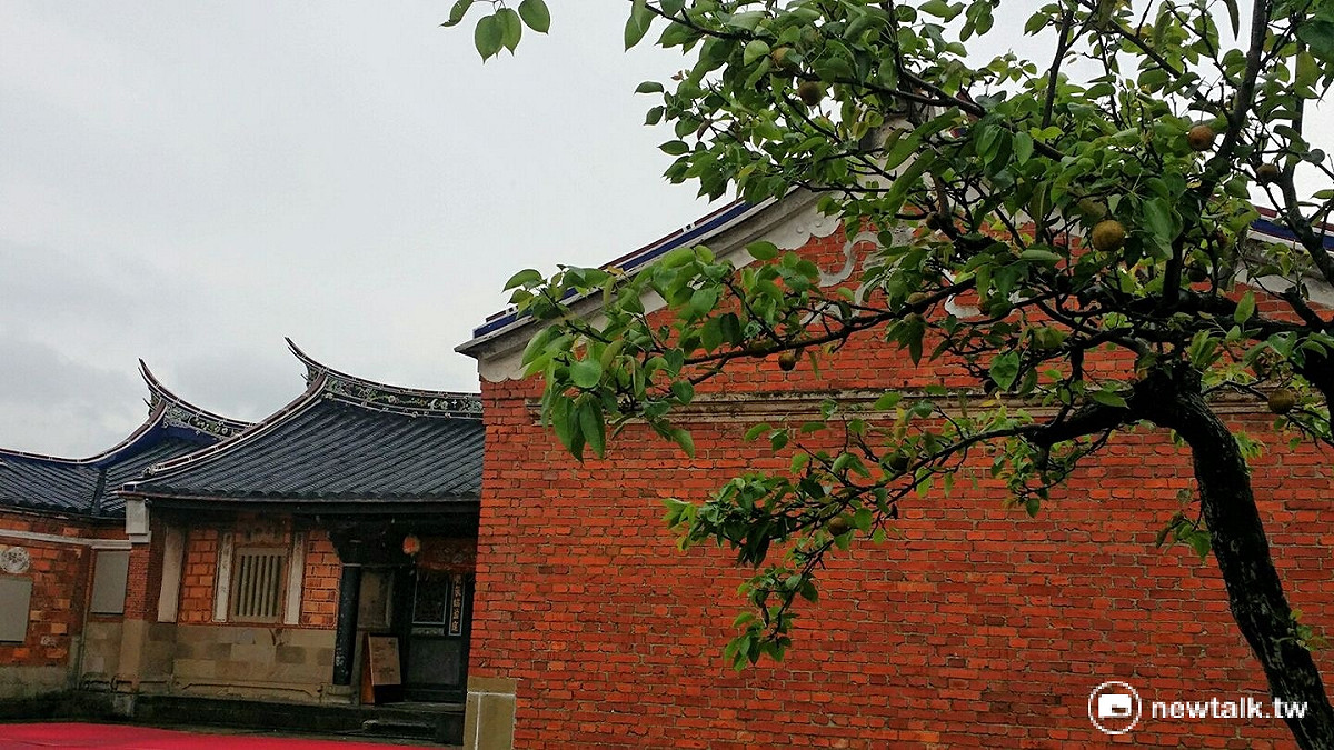 桃園市大溪木藝博物館20174月27日整修後開舘，屋旁的鳥梨樹已結實纍纍。 圖：陳俊良/提供