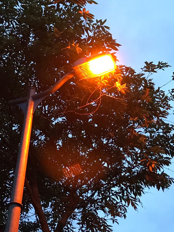 為避免光害影響螢火蟲的生存環境， 讓螢火蟲能安居繁殖的關鍵就在「光源」，路燈亮不亮大有關係。公園處除了熄燈外，路燈更加裝長、短型的遮光罩及有色濾光紙以減少光害。 圖:台北市工務局/提供
