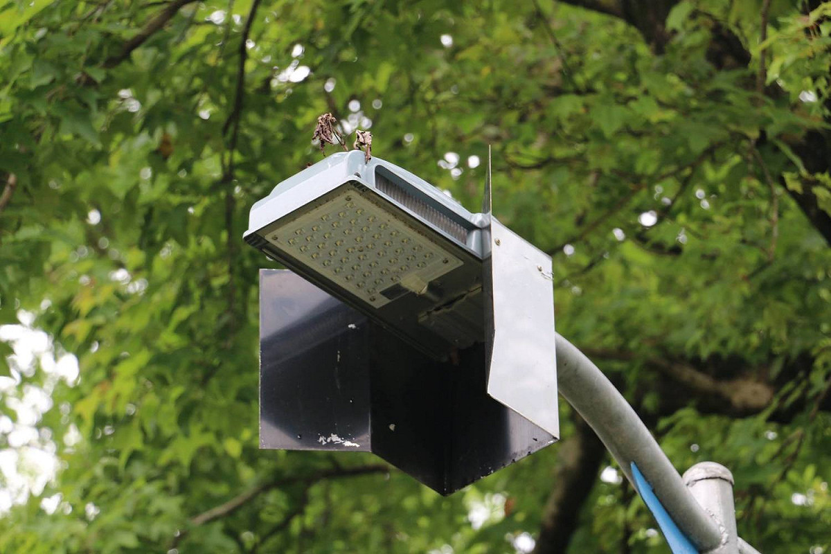 LED燈廠商捐贈大安森林公園6盞螢火蟲專用LED燈之後，公園處亦將添置12盞螢火蟲專用LED燈，這種波長590nm較不會干擾螢火蟲，琥珀色光源人類可見，螢火蟲卻看不見，裝設在螢火蟲復育周邊，可避免對螢火蟲之影響。 圖:台北市工務局/提供