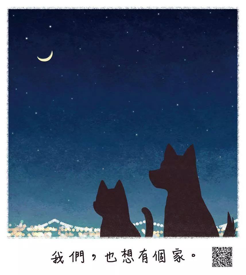 長年來，遍佈各地的流浪動物因為人類的關係遭遇許多危機、流離失所。 圖：翻攝自台北市動物之家臉書