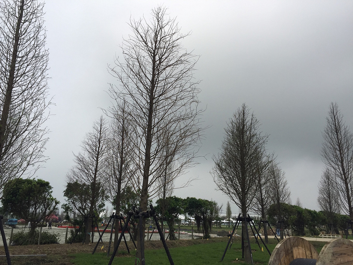 今晚開始，台灣可能又會陷入「陰晴不定」的情況，明日全國都會有機率降雨。 圖：張志銘攝