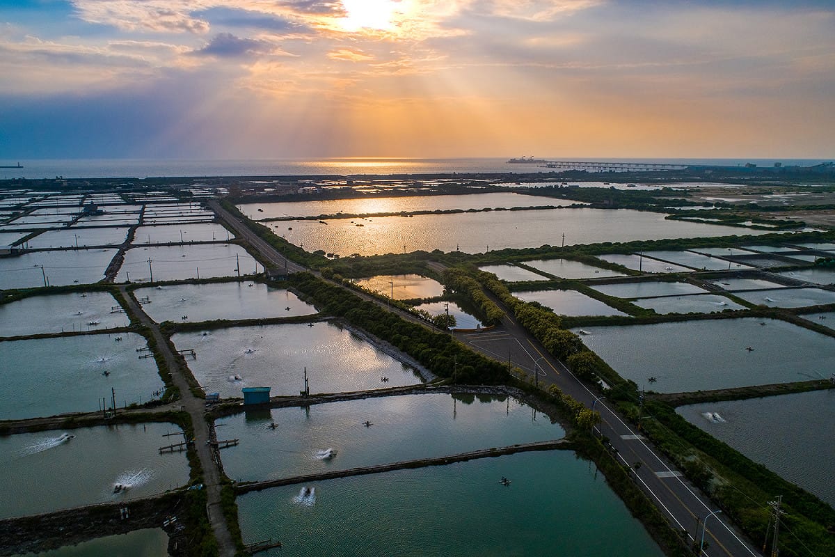風光明媚的永安濕地。 圖：高雄市觀光局/提供