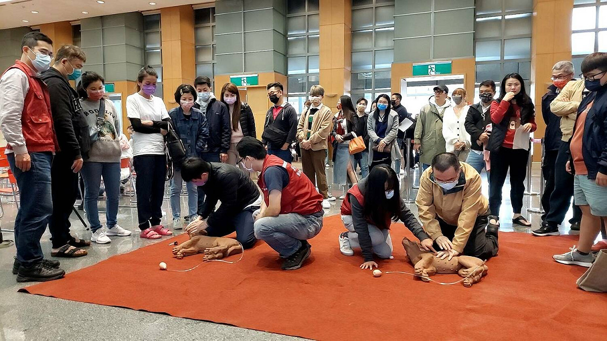 動保處人員指導業者如何操作寵物CPR，指導業者動作符合標準。