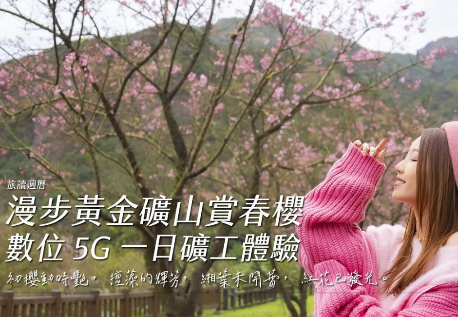 春暖花開，新北許多地方都開始有美麗的櫻花綻放，尤其是金瓜石的櫻花美景，更給人一種彷彿來到日本的錯覺。 image source: YouTube／翻攝自DailyView網路溫度計