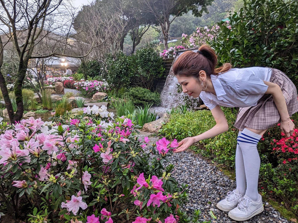 今年度萬金杜鵑花展以在地的杜鵑、生態植物、流水、景石打造全台最美的賞杜鵑秘境與「湧萬金」噴泉。 圖：新北市農業局提供