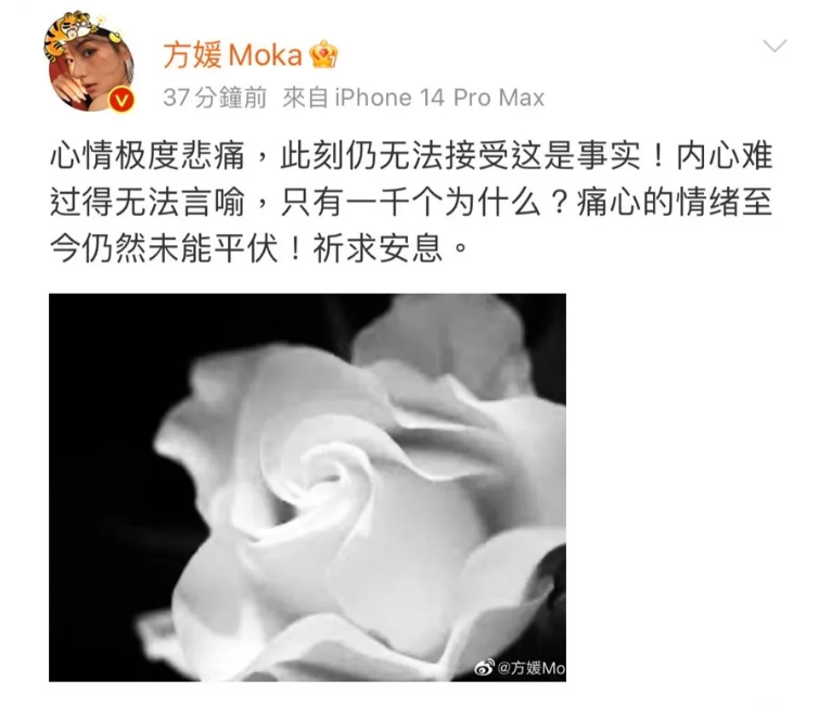 方媛發短文，對蔡天鳳表達哀悼。 圖: 翻攝微博