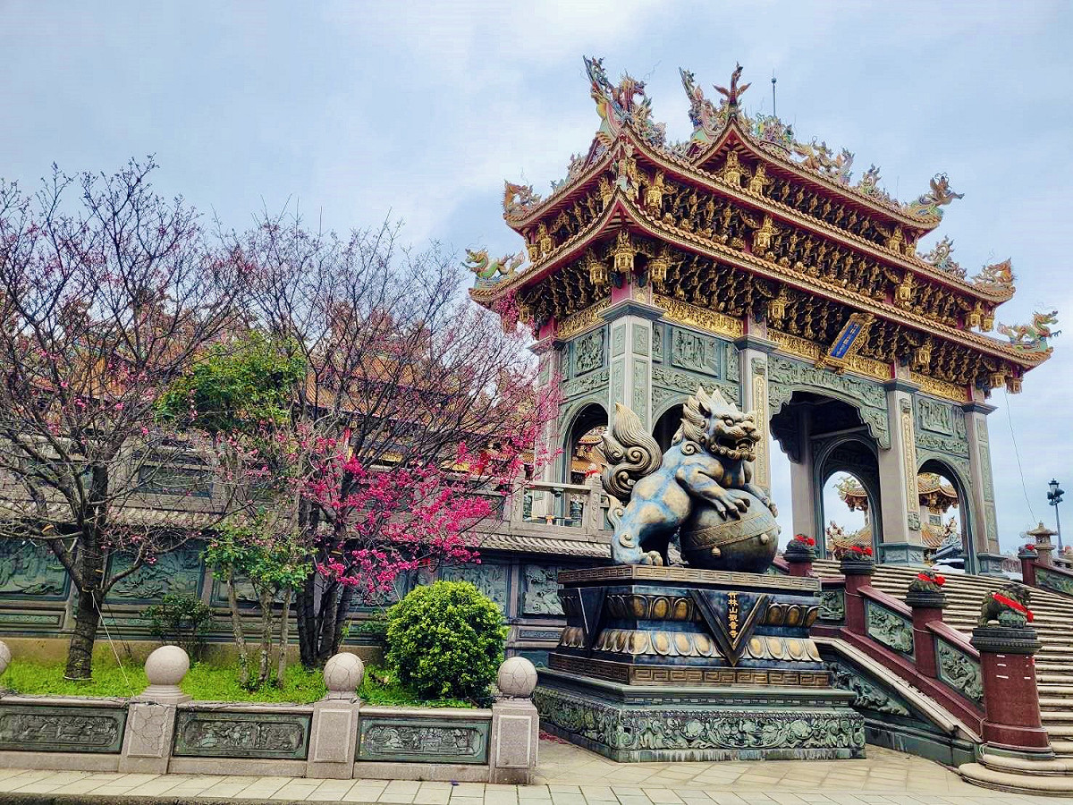 竹林山寺雕梁畫棟的觀宇與奼紫嫣紅的櫻花交互輝映。 圖：新北市景觀處提供