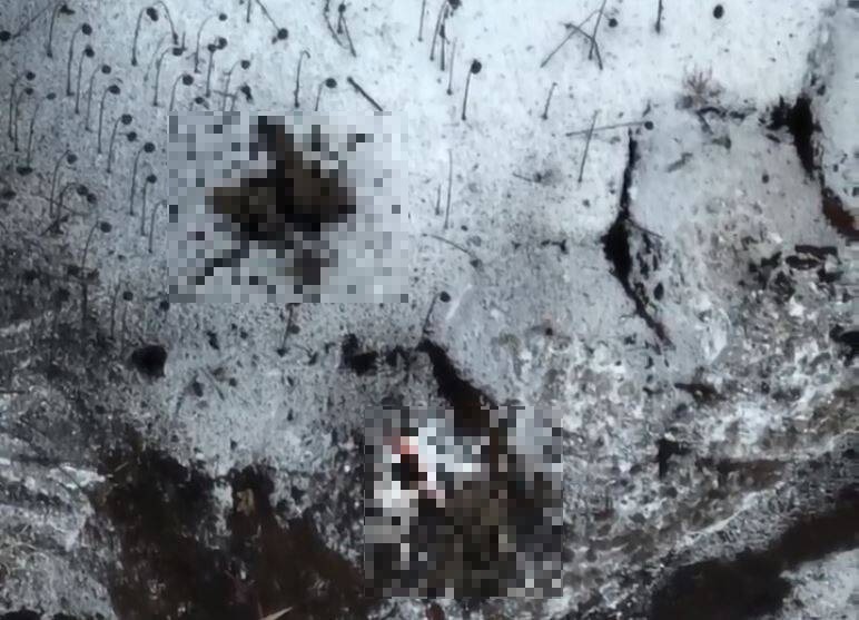 瓦格納傭兵在進軍的過程中遭烏克蘭軍隊第30砲兵旅炸死。 圖：翻攝推特